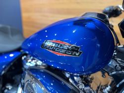 2025 Harley-davidson FLHX STREET GLIDE (117) Blue Burst