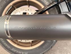 2024 Harley-davidson FXLRS LOW RIDER S (117) SHARKSKIN BLUE