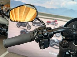 2024 Harley-davidson FXLRS LOW RIDER S (117) SHARKSKIN BLUE