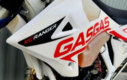 2019 Gas Gas EC 300 EC300 White