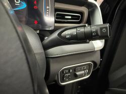 2025 GWM Cannon XSR NPW 4X4 Dual Range Stealth Grey