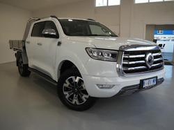 2022 GWM Ute Cannon-X