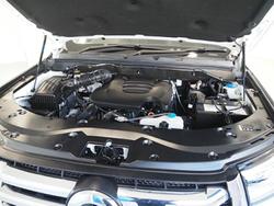 2022 GWM Ute Cannon-X