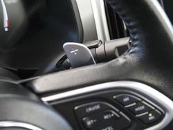 2022 GWM Ute Cannon-X