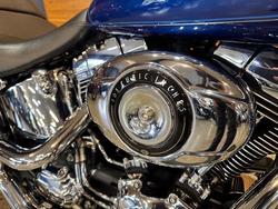 2015 Harley-davidson FLSTF FAT BOY Superior Blue