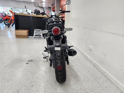 2025 Royal Enfield 2025 Royal Enfield 650CC INTERCEPTOR BEAR 650 Road Godlen Shadow