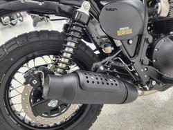 2025 Royal Enfield 2025 Royal Enfield 650CC INTERCEPTOR BEAR 650 Road Godlen Shadow