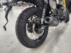 2025 Royal Enfield 2025 Royal Enfield 650CC INTERCEPTOR BEAR 650 Road Godlen Shadow