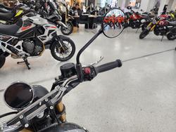 2025 Royal Enfield 2025 Royal Enfield 650CC INTERCEPTOR BEAR 650 Road Godlen Shadow