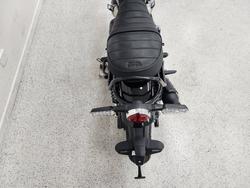 2025 Royal Enfield 2025 Royal Enfield 650CC INTERCEPTOR BEAR 650 Road Godlen Shadow