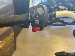 2025 Triumph Speed 400 Speed Four White