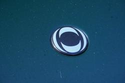 2024 INEOS Grenadier Station Wagon Trialmaster Edition