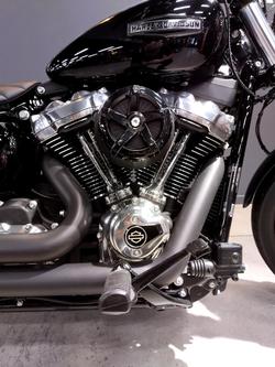 2025 Harley-Davidson Street Bob 117 (FXBB) Softail Black