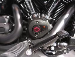 2025 Harley-Davidson Low Rider ST 117 (FXLRST) Softail Black