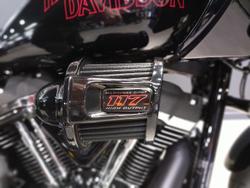 2025 Harley-Davidson Low Rider ST 117 (FXLRST) Softail Black