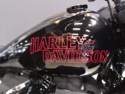 2025 Harley-Davidson Low Rider ST 117 (FXLRST) Softail Black