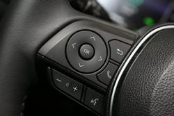 2025 Toyota RAV4 Cruiser