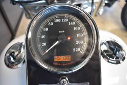 2016 Harley-davidson FLSTN SOFTAIL DELUXE BLUE