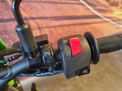 2024 Kawasaki KLX230SM KLX Green