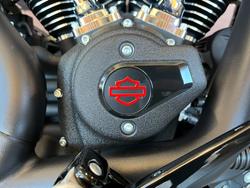 2025 Harley-davidson FXLRS LOW RIDER S (117) Vivid Black