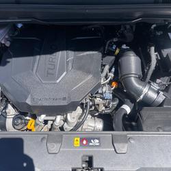 2021 Kia Carnival SLi