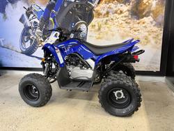 2025 Yamaha 2025 Yamaha 110CC RAPTOR ATV BLUE