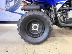 2025 Yamaha 2025 Yamaha 110CC RAPTOR ATV BLUE