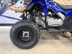 2025 Yamaha 2025 Yamaha 110CC RAPTOR ATV BLUE