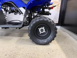 2025 Yamaha 2025 Yamaha 110CC RAPTOR ATV BLUE
