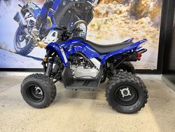 2025 Yamaha 2025 Yamaha 110CC RAPTOR ATV BLUE