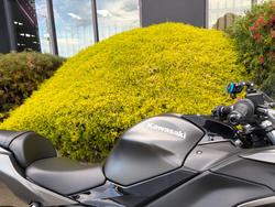 2023 Kawasaki NINJA 650 Grey