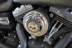 2010 Harley-davidson FXDF FAT BOB GRAY