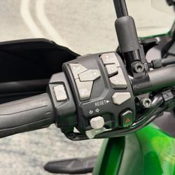 2019 Kawasaki VERSYS 1000 (KLZ1000) Green