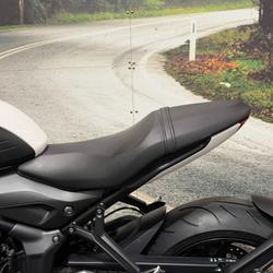 2021 Triumph TRIDENT 660 White