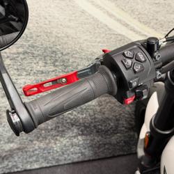 2021 Triumph TRIDENT 660 White