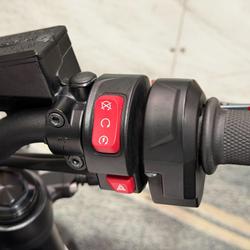 2021 Triumph TRIDENT 660 White