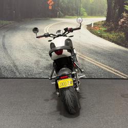 2021 Triumph TRIDENT 660 White