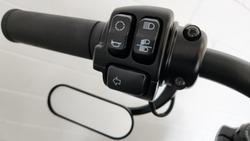 2021 Harley-Davidson Fat Bob 114 (FXFBS) Softail Black