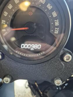 2025 Harley-Davidson
Low Rider ST 117 (FXLRST)