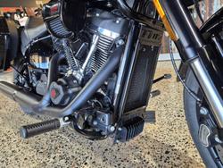 2025 Harley-Davidson
Low Rider ST 117 (FXLRST)