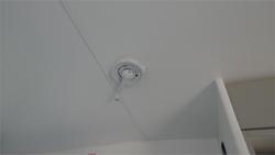 2025 Viscount V Series