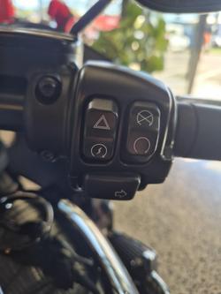 2022 Harley-Davidson
                Low Rider ST 117 (FXLRST) 