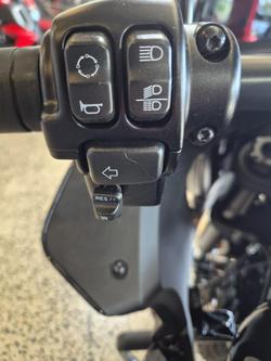 2022 Harley-Davidson
                Low Rider ST 117 (FXLRST) 