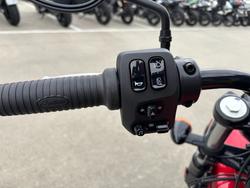 2024 Indian CHIEF DARK HORSE Red