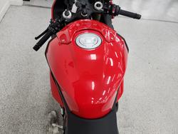 2024 BMW Motorrad S 1000 RR RACE Red