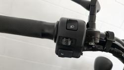 2014 Yamaha Bolt R-Spec (XVS950CUSP) Bolt Green