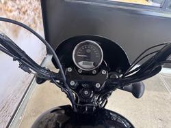 2019 HARLEY-DAVIDSON XG500 STREET 500 BLACK