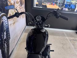 2019 HARLEY-DAVIDSON XG500 STREET 500 BLACK