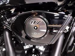 2025 Harley-Davidson Road Glide 117 (FLTRX) Touring Black