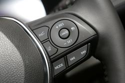 2024 Toyota RAV4 Cruiser